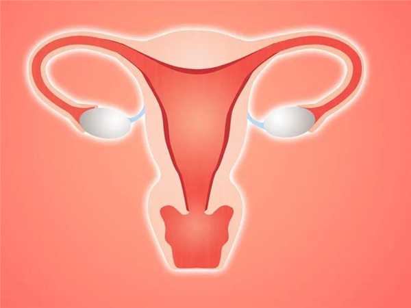 移植前做内膜微刺激和宫腔灌注哪个更有助于胚胎着床？