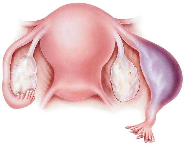 广西试管婴儿供卵助孕 广西壮族自治区人民医院试管成功率： ‘酒精查男女怎