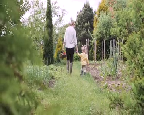 上海九院试管和重庆妇幼保健院比哪个成功率高一点？