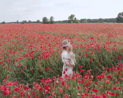 引起胎停育的3个重要原因，这几类女性更容易中招！