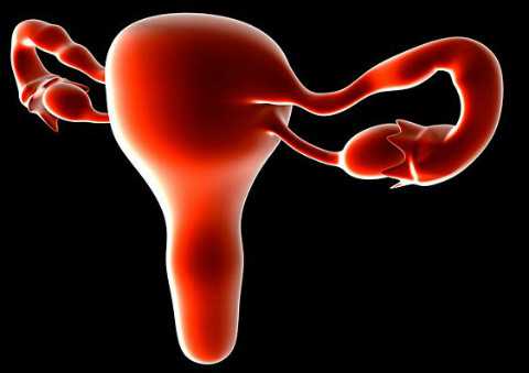 云南试管婴儿费用，2026云南4家医院试管婴儿成功率与生殖科助孕费用预估~代怀儿子男孩