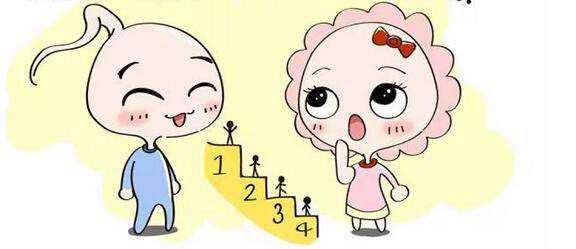 做完宫颈息肉手术后饮食