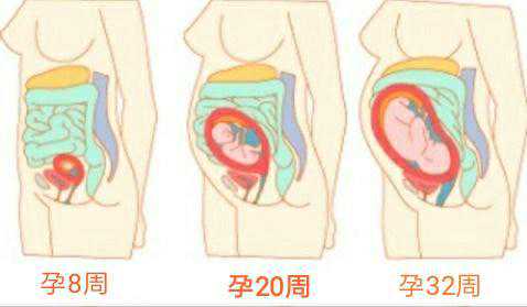 广西五十岁供卵 广西壮族自治区人民医院试管成功率： ‘四维几个能看男女’