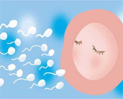 天津试管婴儿试管婴儿的五大方案